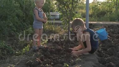 村里的孩子们用手在收获马铃薯的花园里挖地. 背面的浪漫画面
